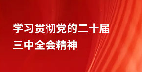 學(xué)習貫徹黨的二十屆三中全會(huì )精神